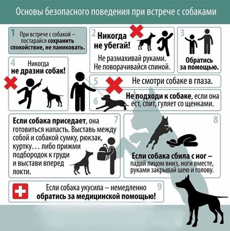 Основы безопасного поведения