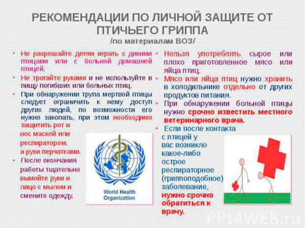 Памятка по высокопатогенному гриппу птиц