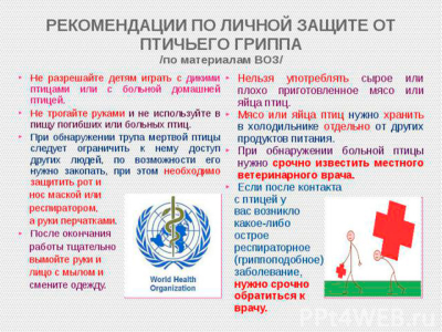 Памятка по высокопатогенному гриппу птиц