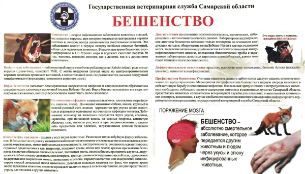 Информационная памятка для населения для предотвращения возникновения заразных заболеваний животных
