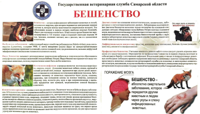 Информационная памятка для населения для предотвращения возникновения заразных заболеваний животных