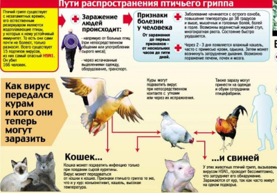 Информация для населения