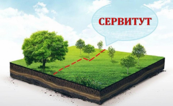 Публичный сервитут