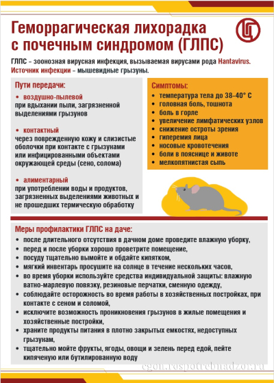 Информация для сведения