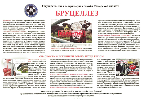 Информационная памятка для населения для предотвращения возникновения заразных заболеваний животных