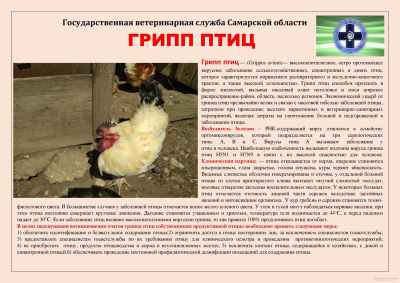 Информационная памятка для населения для предотвращения возникновения заразных заболеваний животных