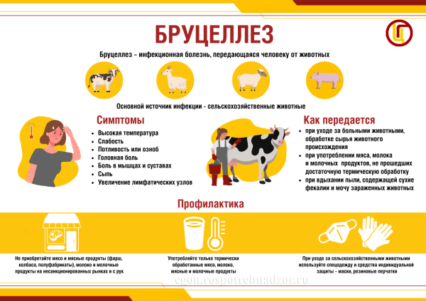 Памятка по профилактике Бруцеллеза