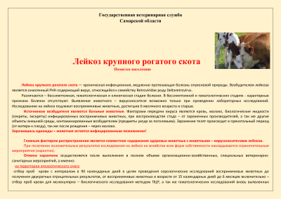 Памятка для владельцев ЛПХ, на которых наложены ограничительные мероприятия по лейкозу КРС
