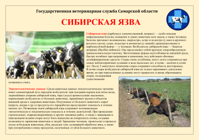 Внимание!!! Сибирская язва!