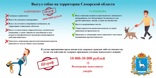 Правила выгула собак на территории Самарской области